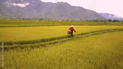 Aerial of farmer working in rice fields, Mu Cang Chai, Vietnam