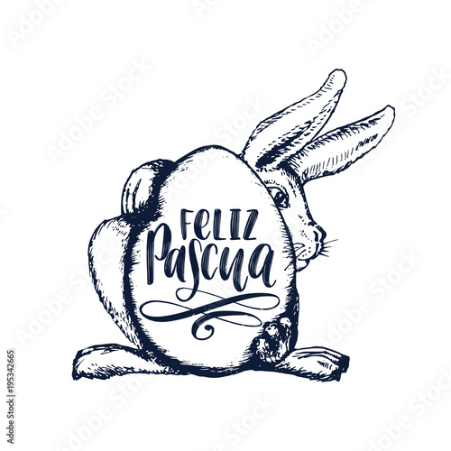 Feliz Pascua translated from Spanish handwritten phrase Happy Easter in vector.Drawn illustration of paschal egg, Bunny,