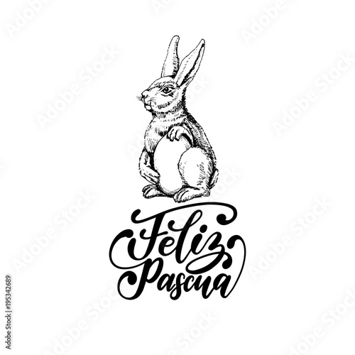 Feliz Pascua translated from Spanish handwritten phrase Happy Easter in vector.Drawn illustration of paschal egg, Bunny,