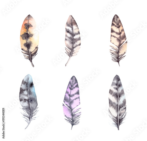 Hand drawn watercolor illustration - birds feathers collection. Aquarelle boho set. Isolated on white background. Perfect for invitations, greeting cards, posters, prints © Kate Macate