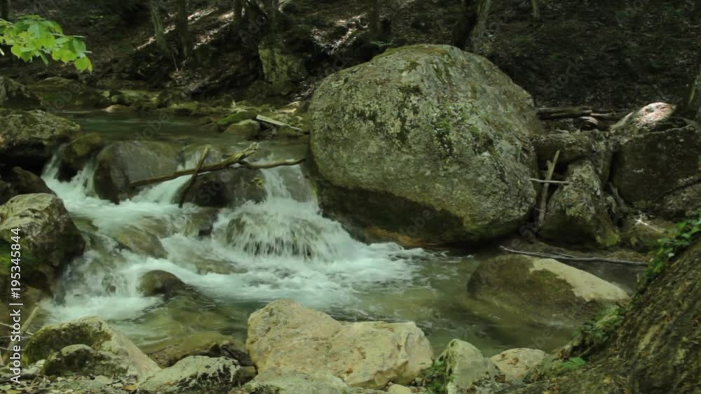 River deep in mountain forest. Nature composition. River deep in mountain forest. Nature composition.