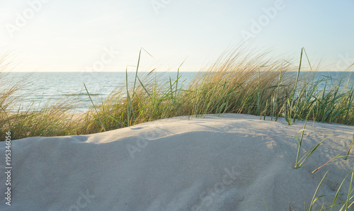 Fototapeta Naklejka Na Ścianę i Meble -  Dünengras an der Ostsee