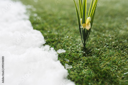 Meeting snow on green grass close up - between winter and spring concept background