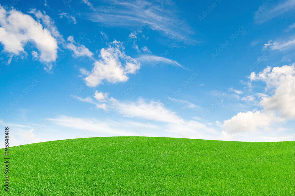 Green field and blue sky with clouds background. with copy space for your text message Green field and blue sky with clouds background. with copy space for your text message