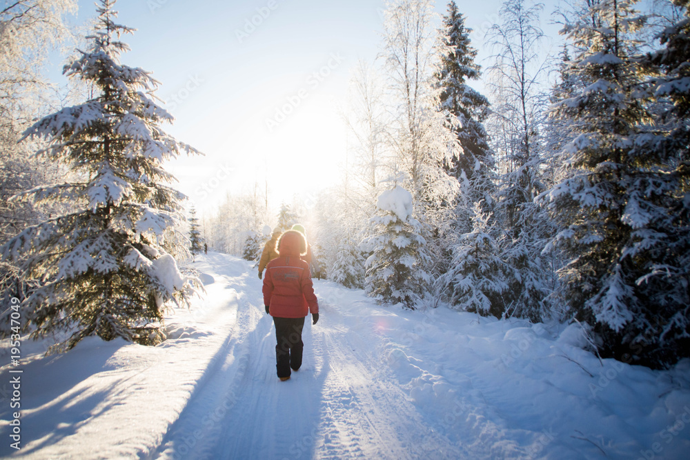 Obraz premium A group of people walking in the winter forest