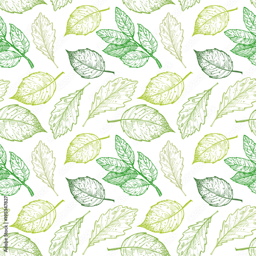 Hand drawn vector illustration. Spring seamless pattern with green leaves, herbs and branches. Floral Design elements. Perfect for wedding invitations, greeting cards, blogs, posters and more