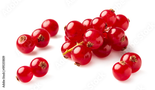fresh  red currant berries photographed closeup isolated on a white background