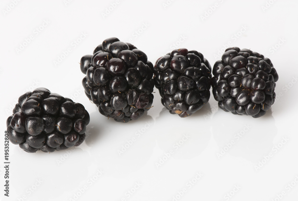 Four Blackberries on white Four Blackberries on white