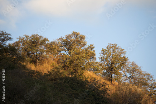 Mountain covered with dry grass, deforestation in Guatemala, colorful sunset.