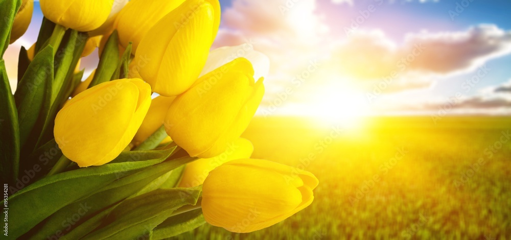 Obraz premium Dzień.