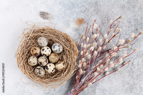 Quails eggs in nest and pussy willow. Easter greeting card