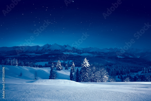 Starry winter night