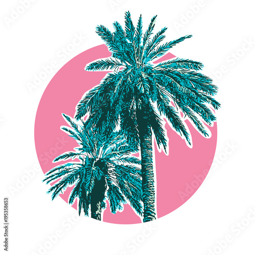 Tropical coconut palm trees.  Vector colored illustration isolated on pink circle background. Template, design element for summer holiday, travel and vacation concept. © mivod