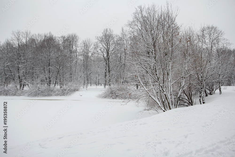 Fototapeta premium Парк