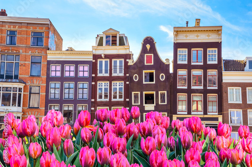 Traditional old buildings and tulips in Amsterdam, Netherlands