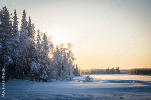 Half frozen Raudanjoki peat river on a winter day, Vaattunki, Finland. 