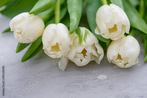 Close-up white tulips with copy space