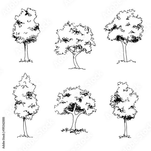 Set of hand drawn architect trees, tree silhouette, dendrology sketch collection, graphic template. photo