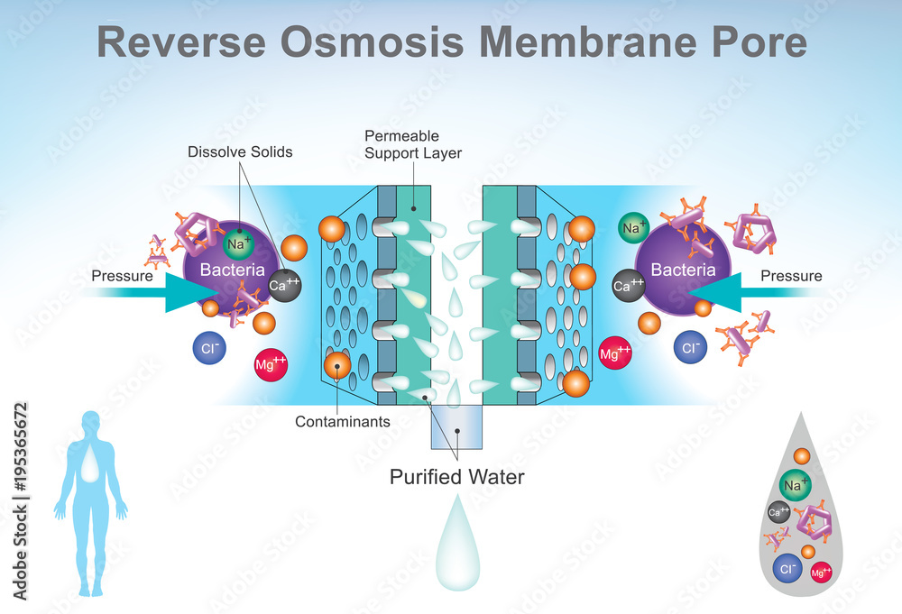 Reverse Osmosis system Diagram. Illustration. Stock Vector Adobe Stock