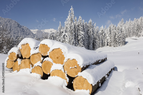 Snow-covered logs on a beautiful winter day in Switzerland