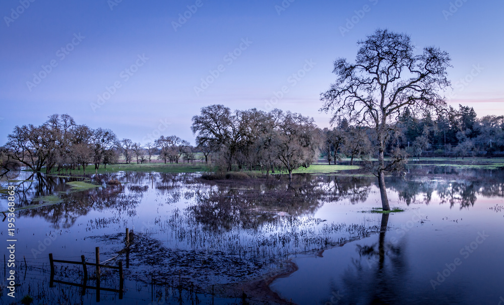 A wetlands with trees and islands is taken in the early evening. A deep purple sky is in the background. The trees are reflected in the water. A wetlands with trees and islands is taken in the early evening. A deep purple sky is in the background. The trees are reflected in the water.