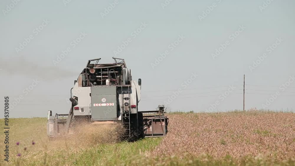 harvester gathers the harvest in the field harvester gathers the harvest in the field