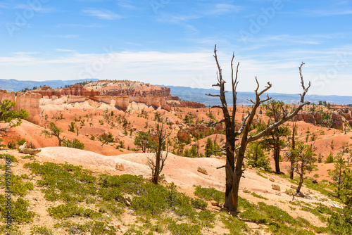 Bryce Canyon National Park - Hiking on the Queens Garden Trail and Najavo Loop into the canyon, Utah, USA. photo