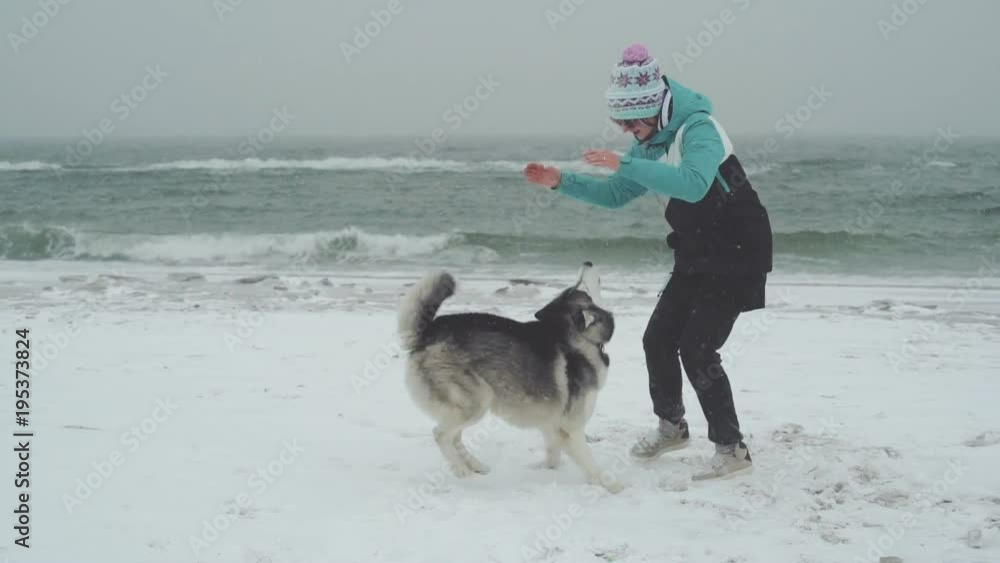 Young female playing and runing with siberian husky dog on the beach at snow storm, slow motion Young female playing and runing with siberian husky dog on the beach at snow storm, slow motion