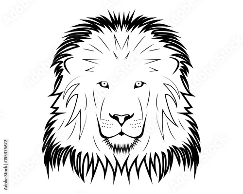 Lion vector illustration 