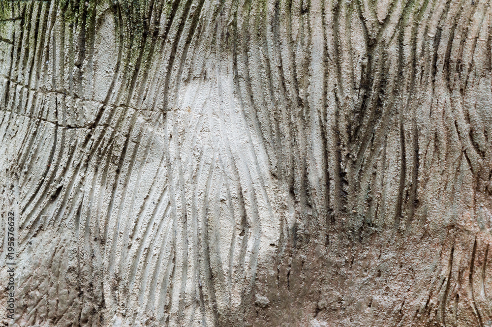 Obraz premium Wood texture background