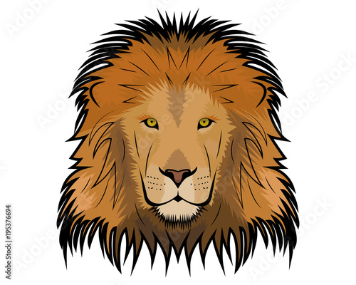 Lion vector illustration