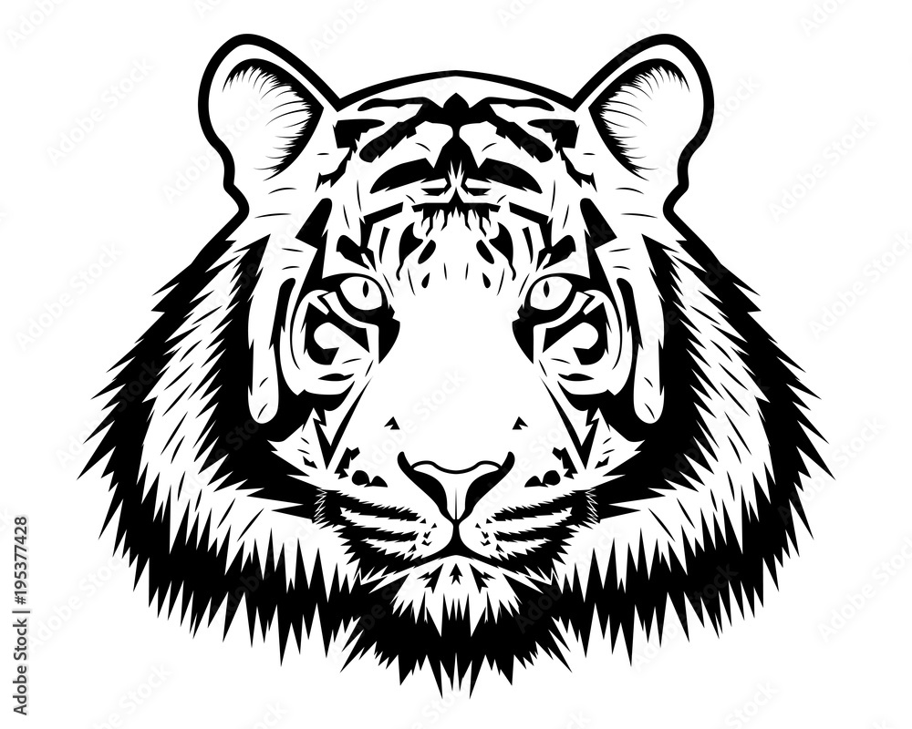 Tiger vector illustration 
