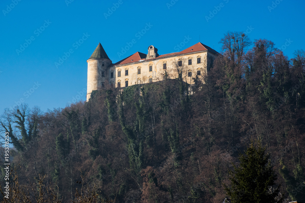 Castle Podcetrtek Slovenia