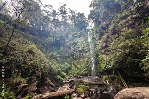 Erskine Falls in Victoria Australia photo