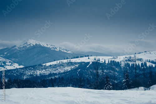 Beautiful winter view in Carpathian mountains, Ukraine, mountain panoramic landscape © Sergey