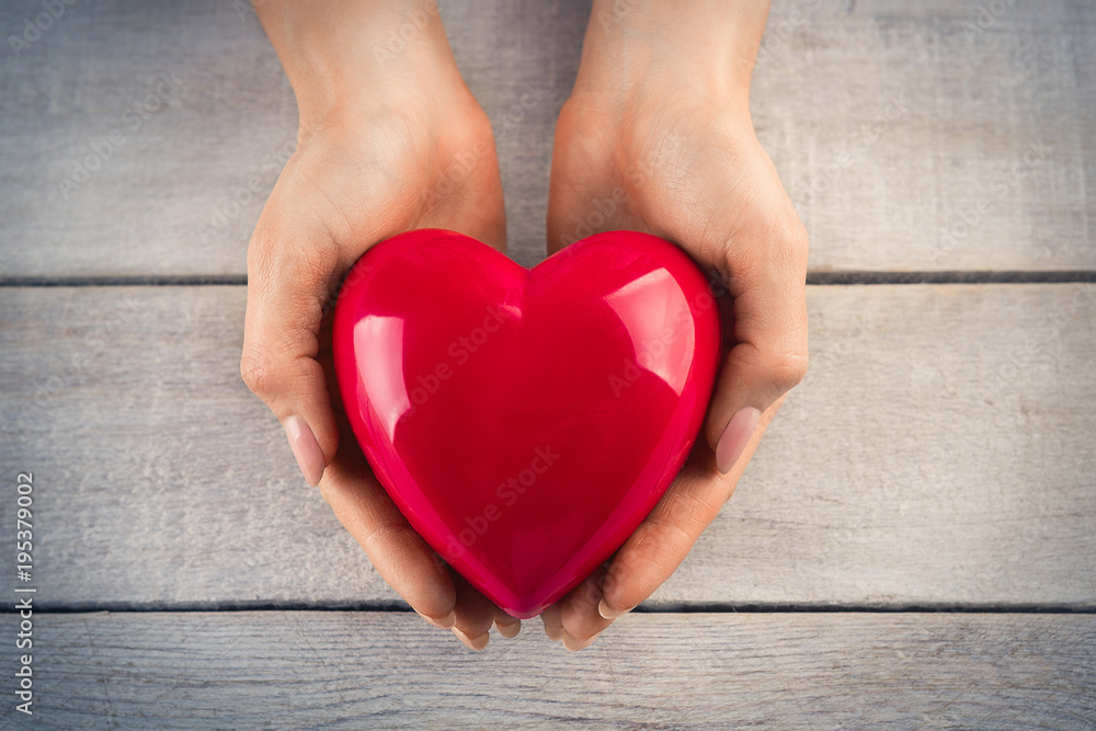 red heart in hands red heart in hands