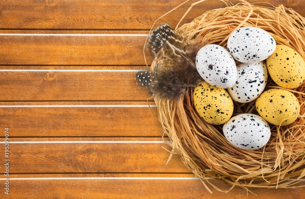 Obraz premium Easter.