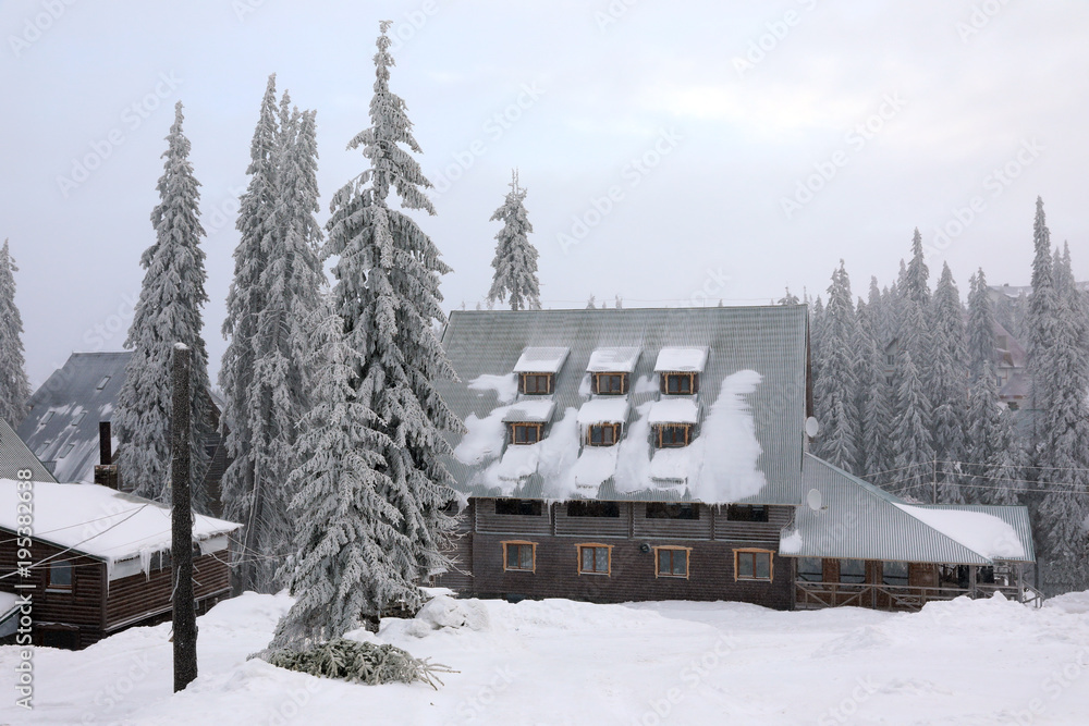 Beautiful resort in forest on snowy day. Winter vacation Beautiful resort in forest on snowy day. Winter vacation