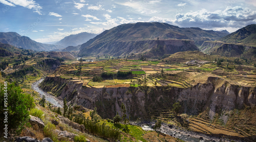 View of terraced fields and Colca river in Colca Canyon in southern Peru, in Arequipa departement - obrazy, fototapety, plakaty 