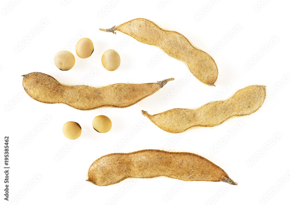Soybean pods and beans on white background, top view Soybean pods and beans on white background, top view