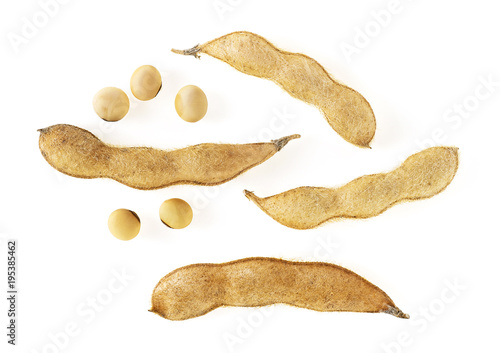 Soybean pods and beans on white background, top view