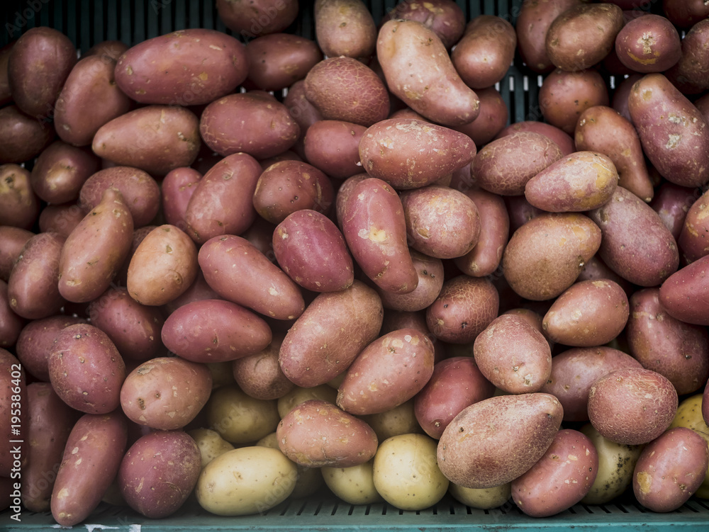 close background texture potatoes on the surface close background texture potatoes on the surface