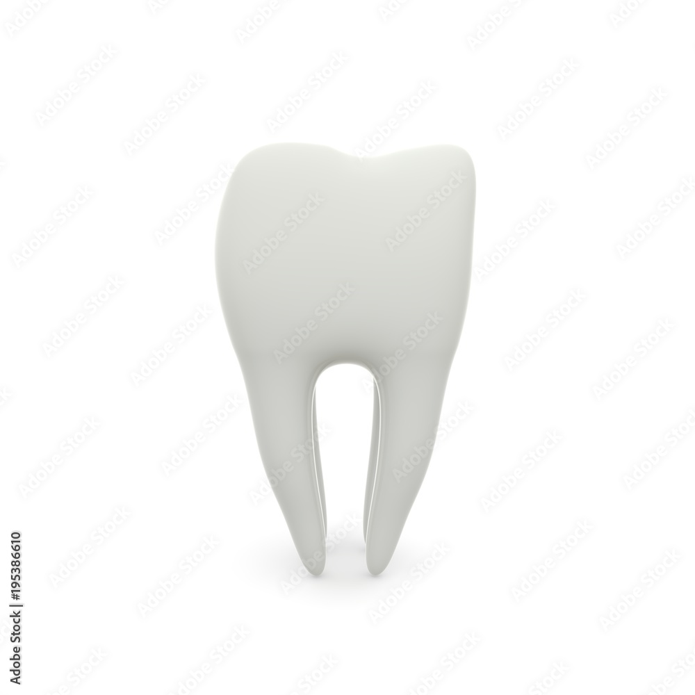 Model of a molar tooth on a white isolated background Model of a molar tooth on a white isolated background