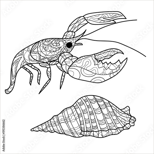 Cancer and shell, illustration for coloring, coloring page