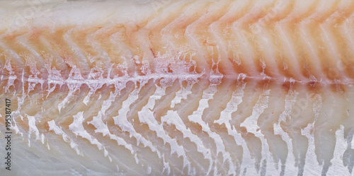 Photography Background texture of fish fillets close-up macro