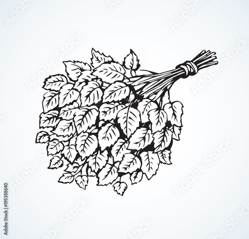 Bath broom. Vector drawing