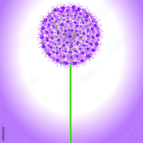 Allium Flower with background