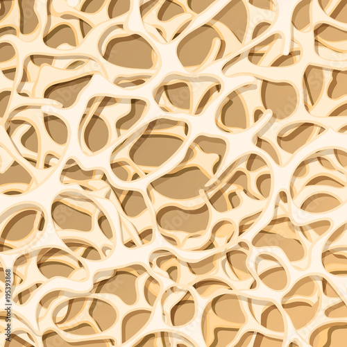 Bone structure. osteoporosis. Medical background