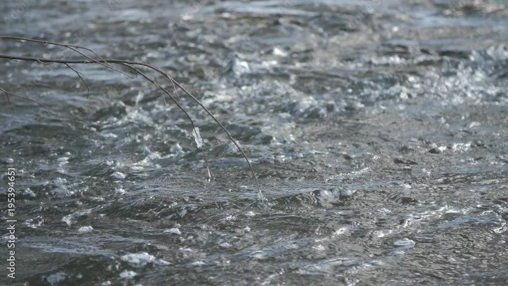 Close up shot of running streams of clean ice water. Spring has come. Fast flowing creek. Iced branch in water. Nature is awakening. Slow motion.