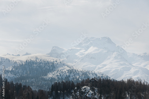 Sils, Silsersee, Langlauf, Langlaufloipe, piz da la margna, Oberengadin, Winter, Wintersport, Alpen, Graubünden, Schweiz